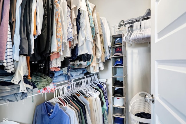 view of spacious closet