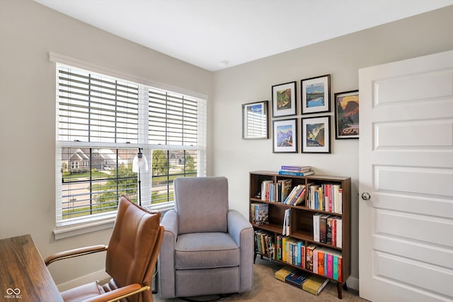 sitting room with a wealth of natural light and carpet floors