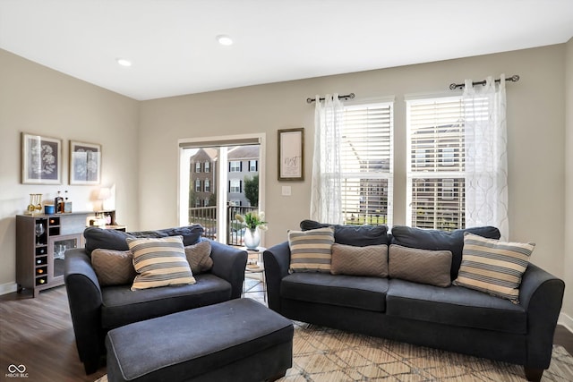 living room with wood-type flooring