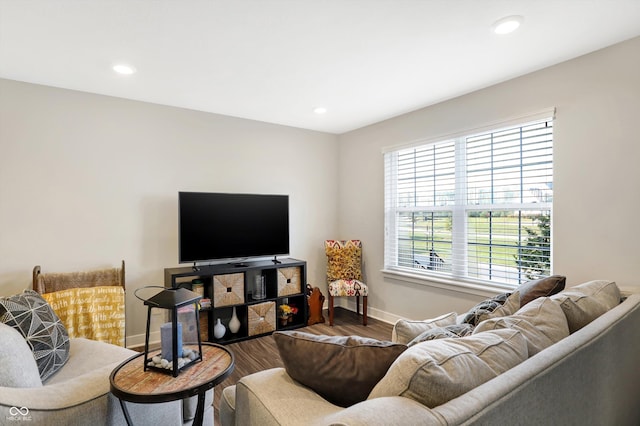 living room with hardwood / wood-style floors