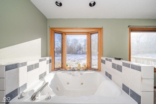 bathroom with a healthy amount of sunlight and a bathtub