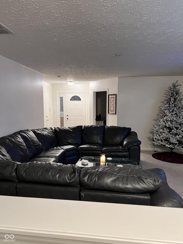 carpeted living room with a textured ceiling