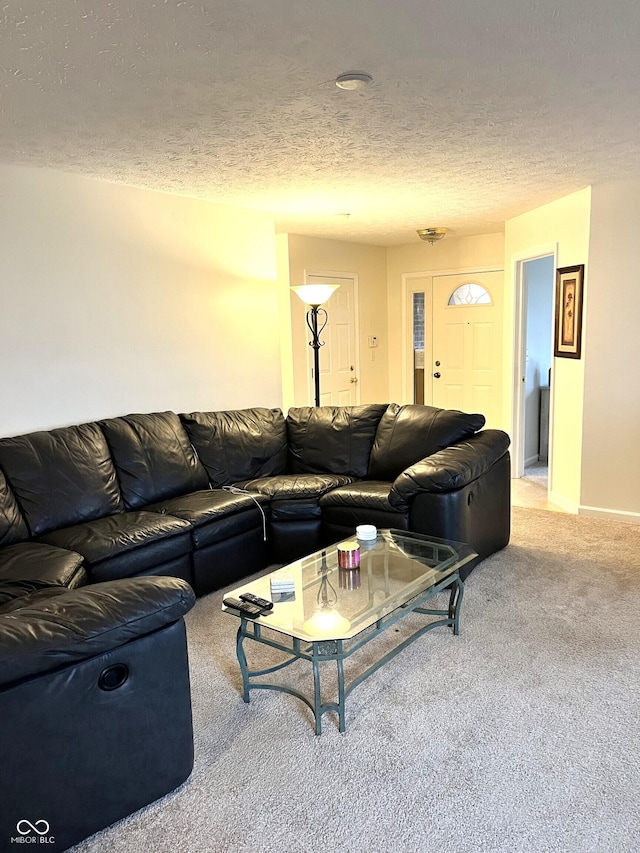 living room featuring a textured ceiling and carpet flooring