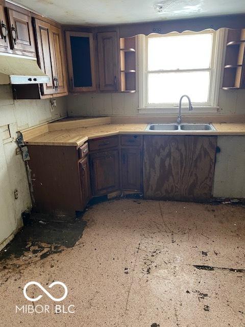 kitchen with dark brown cabinetry and sink