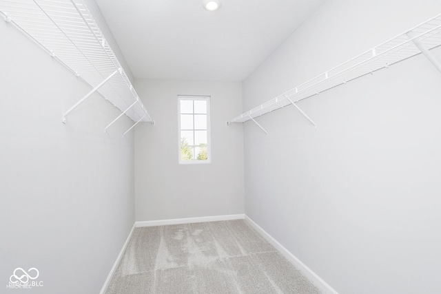 walk in closet featuring carpet floors