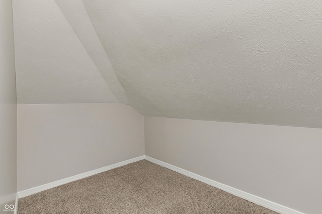 additional living space with vaulted ceiling, carpet floors, and a textured ceiling