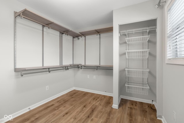 spacious closet with wood-type flooring