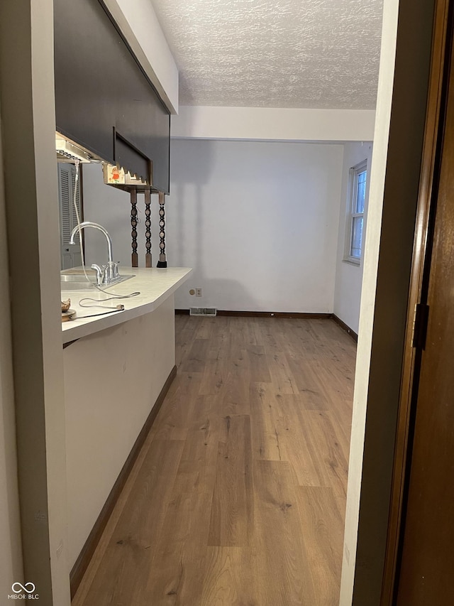 interior space with sink, a textured ceiling, and light wood-type flooring