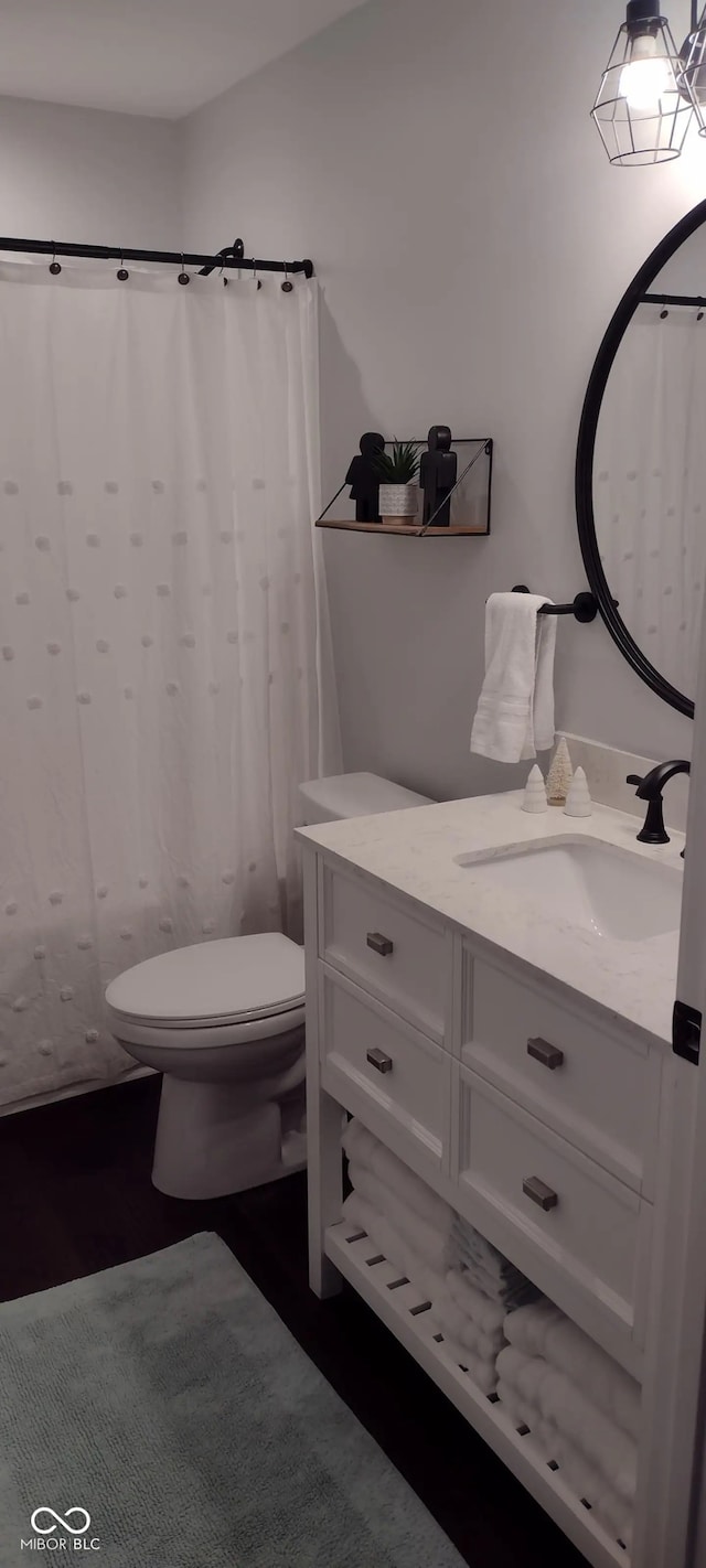 full bathroom featuring toilet and vanity