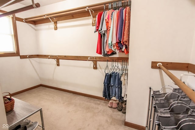 walk in closet featuring light colored carpet