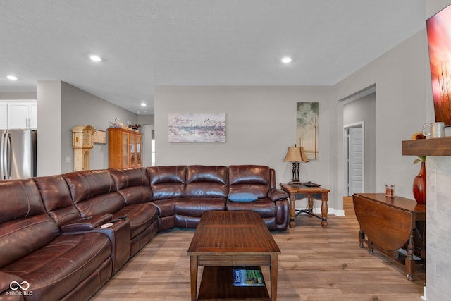 living room featuring light wood-type flooring