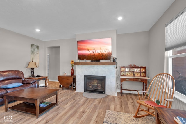 living room with light hardwood / wood-style flooring