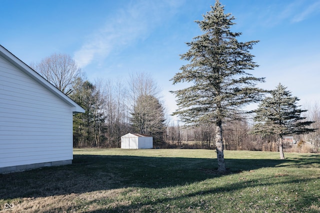 view of yard featuring a storage unit