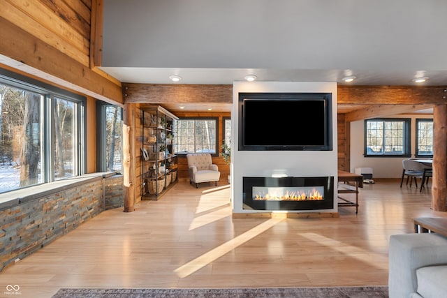 living room with a healthy amount of sunlight and light hardwood / wood-style flooring