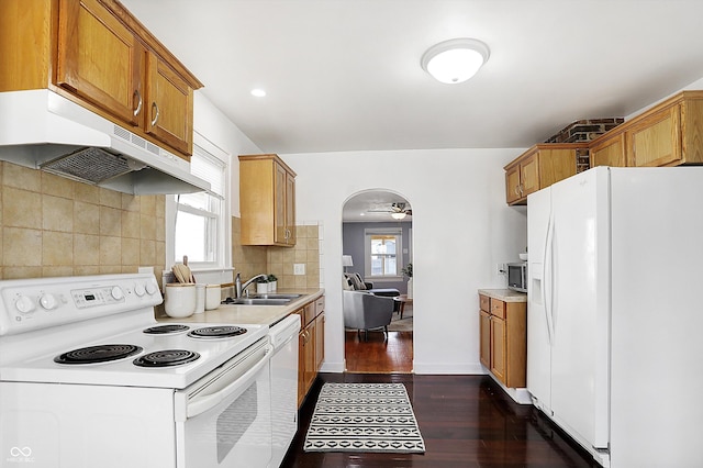 kitchen featuring sink, white appliances, ceiling fan, backsplash, and dark hardwood / wood-style flooring