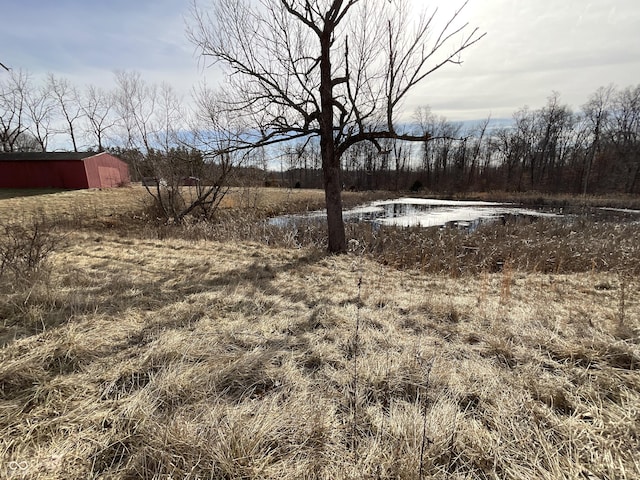 view of yard with a water view