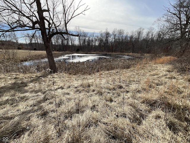 view of yard with a water view