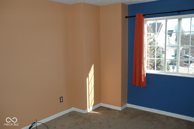 carpeted spare room with a wealth of natural light