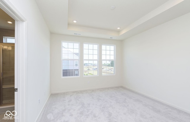 unfurnished room with a raised ceiling and light colored carpet