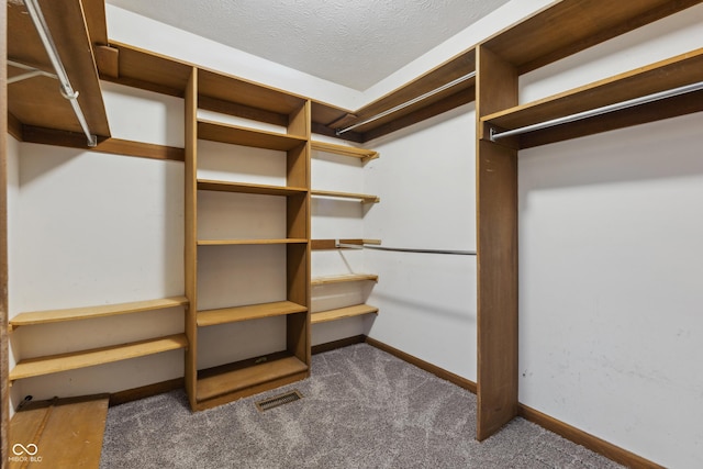 spacious closet featuring dark colored carpet