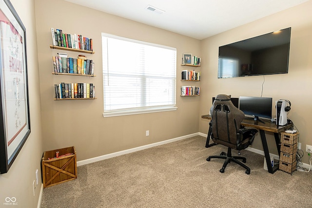 office area featuring carpet flooring