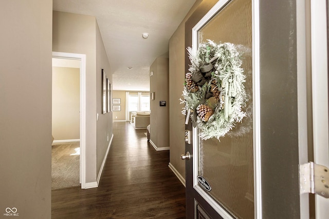 hall featuring dark hardwood / wood-style floors