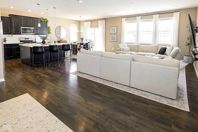 living room featuring dark hardwood / wood-style flooring and a textured ceiling