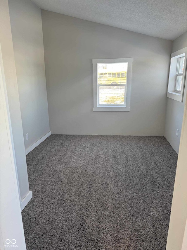 carpeted empty room with a healthy amount of sunlight and a textured ceiling