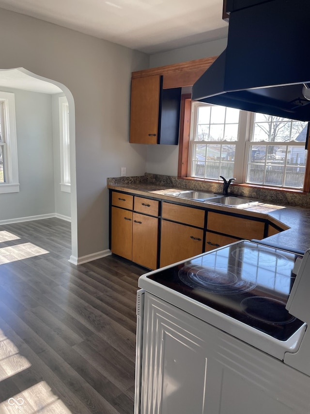 kitchen featuring sink, island range hood, electric range, and dark hardwood / wood-style flooring