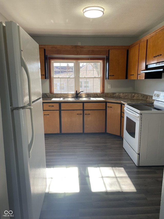 kitchen with dark hardwood / wood-style floors, sink, a textured ceiling, and white appliances