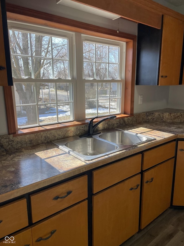 kitchen with dark hardwood / wood-style floors, dishwasher, and sink