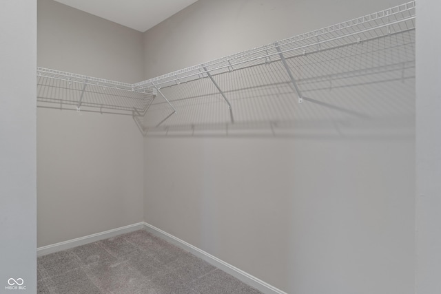 spacious closet featuring carpet flooring