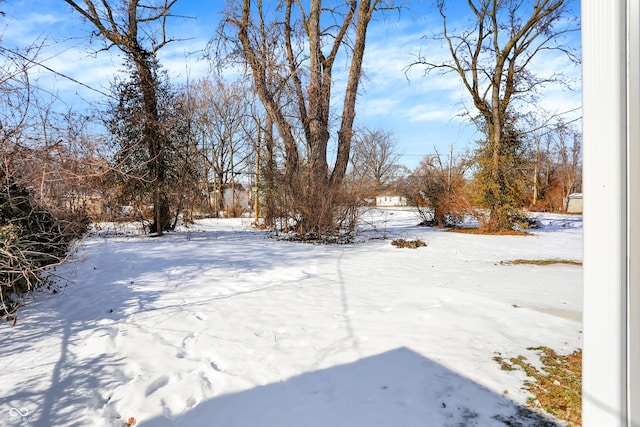 view of snowy yard