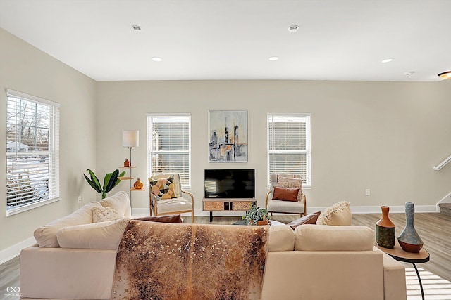 living room with wood-type flooring