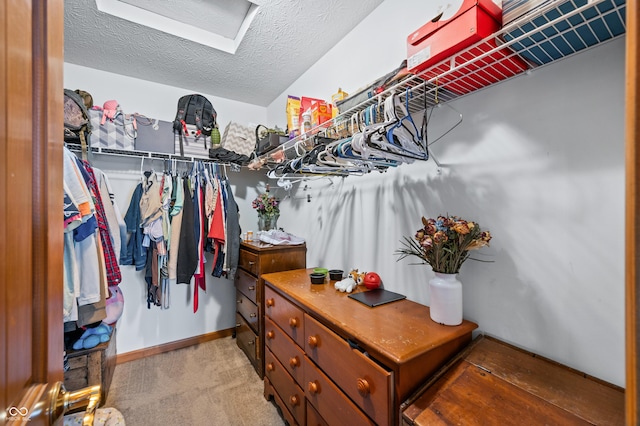 walk in closet with carpet