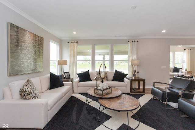 living room with crown molding, a healthy amount of sunlight, and light hardwood / wood-style flooring