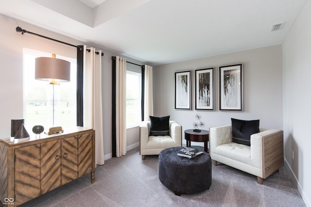 sitting room featuring carpet