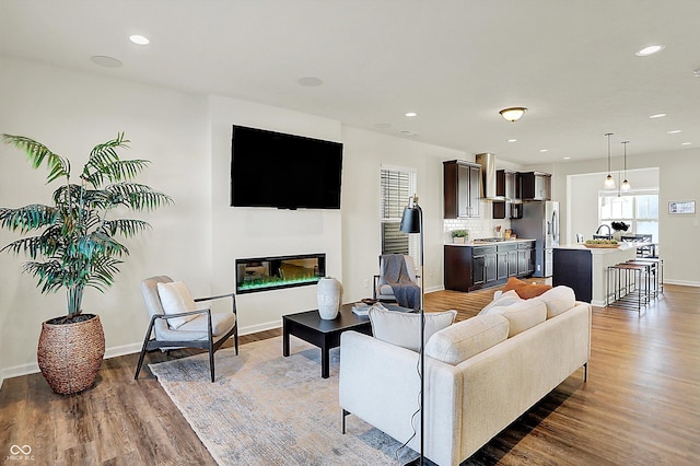 living room with hardwood / wood-style floors