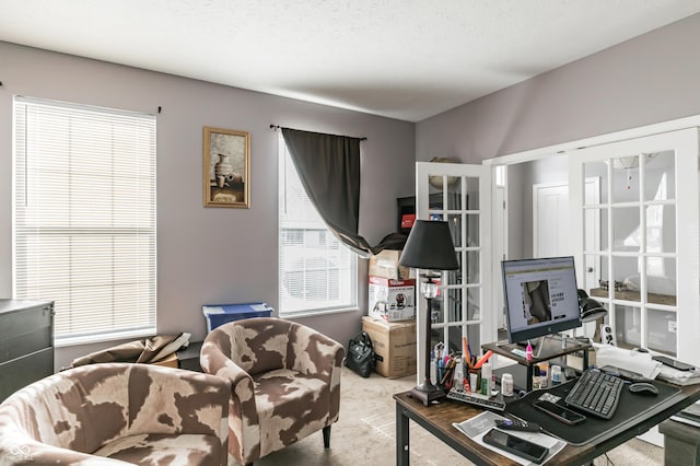 interior space featuring carpet flooring and a textured ceiling