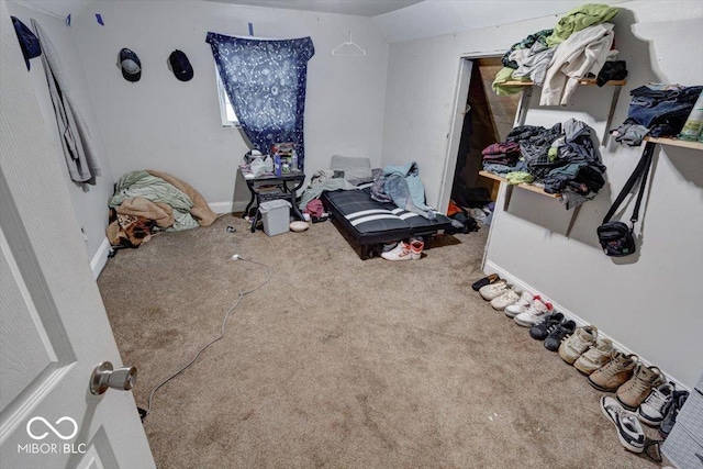 bedroom with vaulted ceiling and carpet