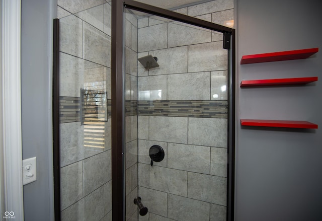 interior details featuring a shower with shower door