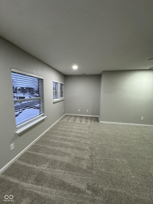 basement featuring carpet