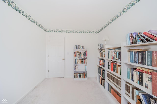 sitting room featuring carpet