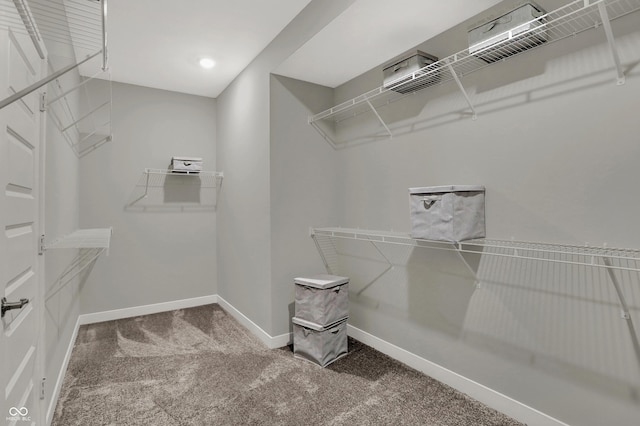 spacious closet with carpet