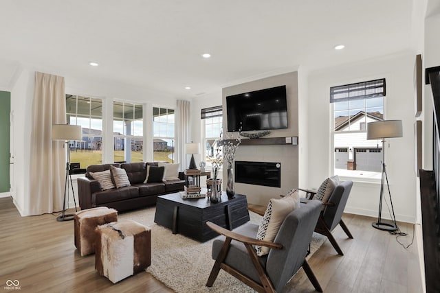 living room with light hardwood / wood-style floors and a wealth of natural light