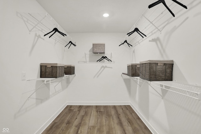 spacious closet featuring hardwood / wood-style floors