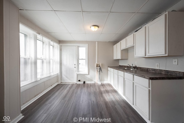 kitchen with white cabinetry, a paneled ceiling, dark wood-type flooring, and sink