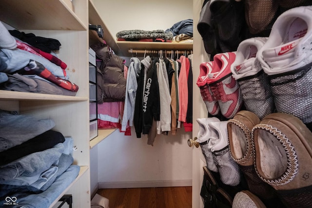 spacious closet featuring hardwood / wood-style flooring