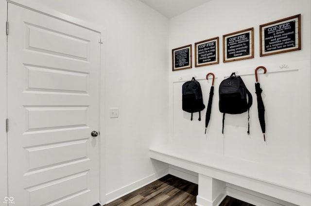 mudroom featuring dark wood-type flooring