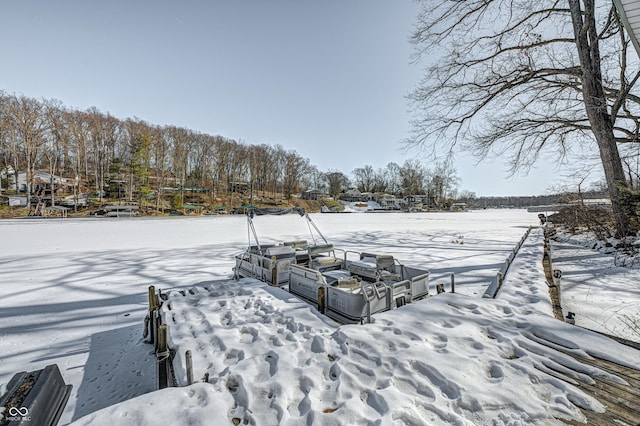 view of snowy yard